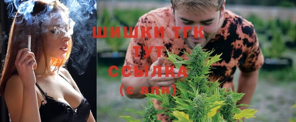 трава Армянск